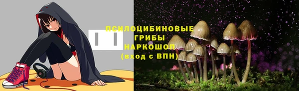 mix Богородицк