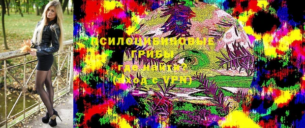 mix Богородицк