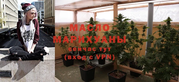 mix Богородицк