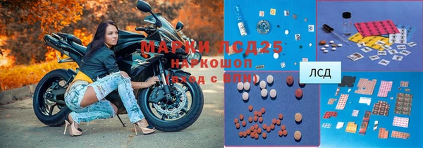 mix Богородицк