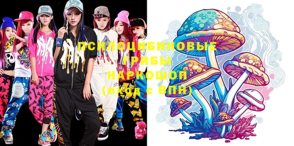 mix Богородицк